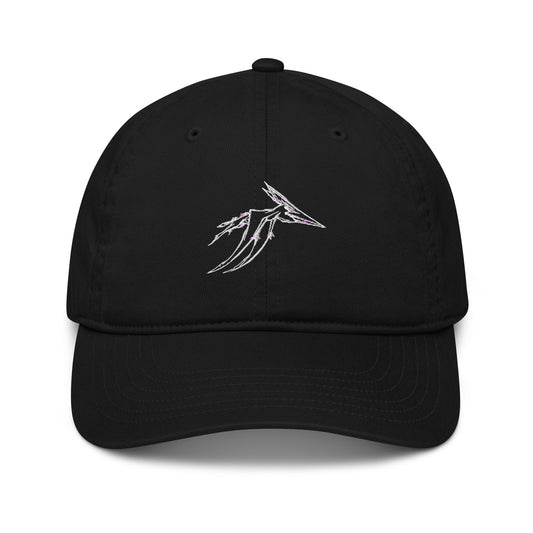 Organic dad hat